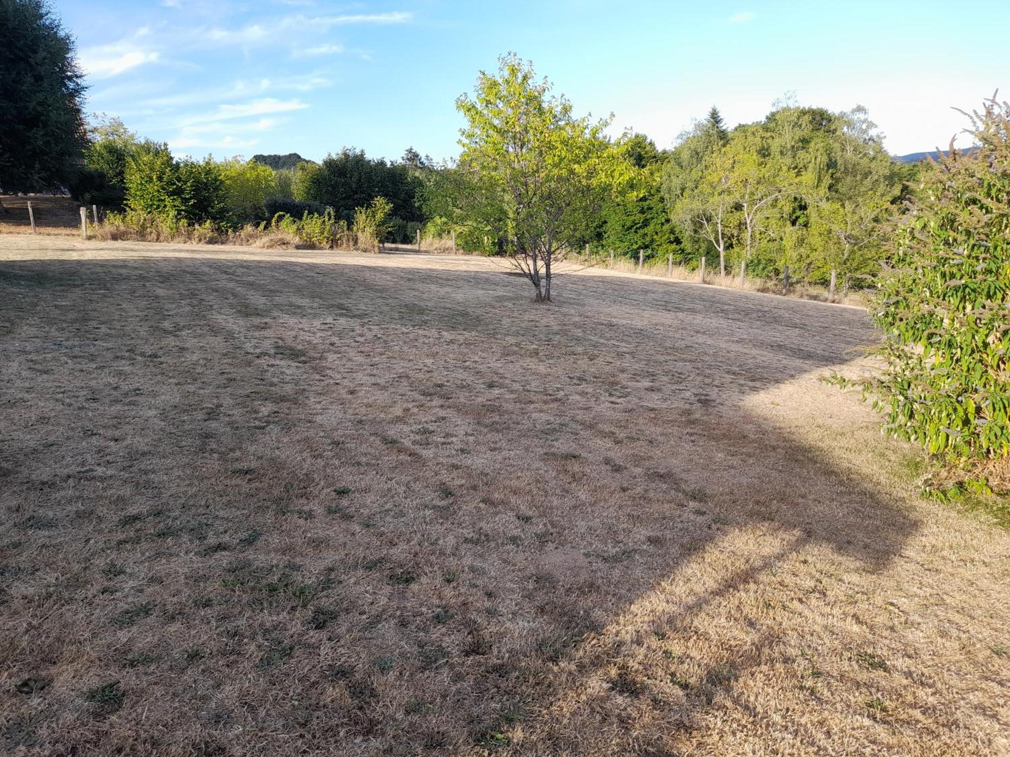 La Cantiniere Fougerolles-Saint-Valbert Exteriör bild